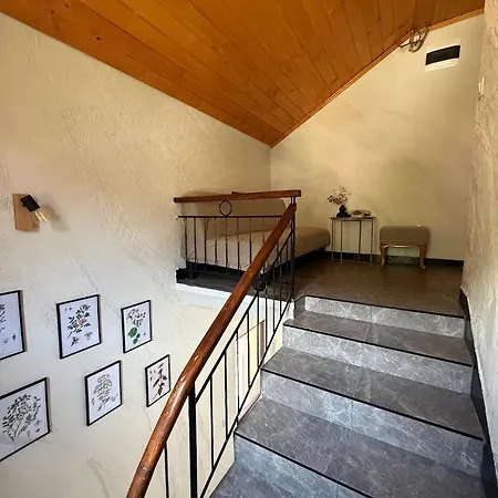 Rila Peaks Villa Govedartsi
